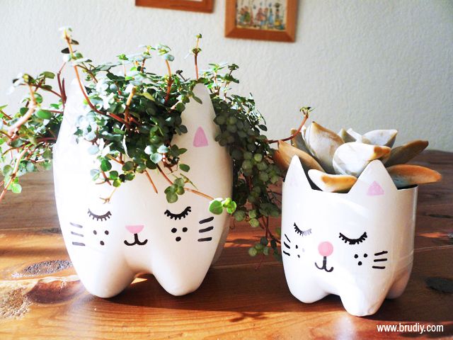 como fazer vasinho plantas garrafa pet gatinho decoracao casa apartamento
